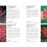 RHS What Plant When - thumbnail of spread image 3 Thumbnail image of RHS What Plant When - 3
