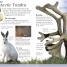 First Nature Encyclopedia - thumbnail of spread image 2 Thumbnail image of First Nature Encyclopedia - 2