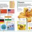 DK Children's Encyclopedia - thumbnail of spread image 4 Thumbnail image of DK Children's Encyclopedia - 4