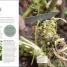 Grow Something Different To Eat - thumbnail of spread image 4 Thumbnail image of Grow Something Different To Eat - 4
