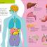 DKfindout! Human Body - thumbnail of spread image 2 Thumbnail image of DKfindout! Human Body - 2