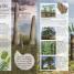 Dinosaurs a Children's Encyclopedia - thumbnail of spread image 2 Thumbnail image of Dinosaurs a Children's Encyclopedia - 2