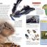 Eyewitness Explorer: Nature Ranger - thumbnail of spread image 2 Thumbnail image of Eyewitness Explorer: Nature Ranger - 2