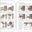 The Survival Handbook - thumbnail of spread image 1 Thumbnail image of The Survival Handbook - 1