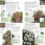 Wild Flowers - thumbnail of spread image 2 Thumbnail image of Wild Flowers - 2