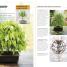 Bonsai - thumbnail of spread image 2 Thumbnail image of Bonsai - 2