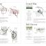 Embroidery - thumbnail of spread image 1 Thumbnail image of Embroidery - 1