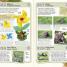 RSPB 365 Outdoor Activities You Have to Try - thumbnail of spread image 2 Thumbnail image of RSPB 365 Outdoor Activities You Have to Try - 2