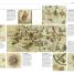 Great Maps - thumbnail of spread image 2 Thumbnail image of Great Maps - 2