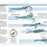 The Triathlon Training Book - thumbnail of spread image 2 Thumbnail image of The Triathlon Training Book - 2