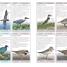 Birds of Western Canada 2nd Edition - thumbnail of spread image 1 Thumbnail image of Birds of Western Canada 2nd Edition - 1