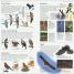 RSPB Pocket Birds - thumbnail of spread image 2 Thumbnail image of RSPB Pocket Birds - 2