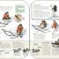 The Survival Handbook - thumbnail of spread image 2 Thumbnail image of The Survival Handbook - 2