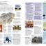DK Eyewitness Family Guide Washington, DC - thumbnail of spread image 3 Thumbnail image of DK Eyewitness Family Guide Washington, DC - 3