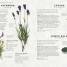 The Herb Garden for Cooks - thumbnail of spread image 4 Thumbnail image of The Herb Garden for Cooks - 4