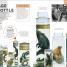 Behind the Scenes at the Museum - thumbnail of spread image 3 Thumbnail image of Behind the Scenes at the Museum - 3