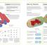 Biology - thumbnail of spread image 2 Thumbnail image of Biology - 2