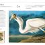Remarkable Books - thumbnail of spread image 3 Thumbnail image of Remarkable Books - 3