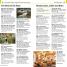 Top 10 Brussels, Bruges, Antwerp and Ghent - thumbnail of spread image 5 Thumbnail image of Top 10 Brussels, Bruges, Antwerp and Ghent - 5