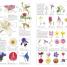 RHS A-Z Encyclopedia of Garden Plants 4th edition - thumbnail of spread image 3 Thumbnail image of RHS A-Z Encyclopedia of Garden Plants 4th edition - 3