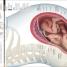 The Science of Pregnancy - thumbnail of spread image 2 Thumbnail image of The Science of Pregnancy - 2