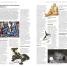 DK Eyewitness Travel Guide San Francisco and Northern California - thumbnail of spread image 4 Thumbnail image of DK Eyewitness Travel Guide San Francisco and Northern California - 4