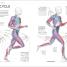 Science of Running - thumbnail of spread image 1 Thumbnail image of Science of Running - 1