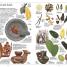 Aztec - thumbnail of spread image 2 Thumbnail image of Aztec - 2