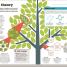 How Philosophy Works - thumbnail of spread image 6 Thumbnail image of How Philosophy Works - 6