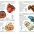 Rocks and Minerals - thumbnail of spread image 3 Thumbnail image of Rocks and Minerals - 3