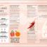 Eat Better, Live Longer - thumbnail of spread image 3 Thumbnail image of Eat Better, Live Longer - 3