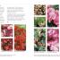 RHS Good Plant Guide - thumbnail of spread image 3 Thumbnail image of RHS Good Plant Guide - 3