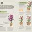 Happy Orchid - thumbnail of spread image 3 Thumbnail image of Happy Orchid - 3