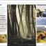 Digital Photography Month by Month - thumbnail of spread image 1 Thumbnail image of Digital Photography Month by Month - 1