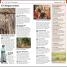DK Eyewitness Top 10 Brussels, Bruges, Antwerp and Ghent - thumbnail of spread image 5 Thumbnail image of DK Eyewitness Top 10 Brussels, Bruges, Antwerp and Ghent - 5