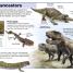 DK Pocket Eyewitness Dinosaurs - thumbnail of spread image 2 Thumbnail image of DK Pocket Eyewitness Dinosaurs - 2