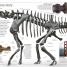 Dinosaur - thumbnail of spread image 2 Thumbnail image of Dinosaur - 2