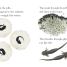 DK Readers L1: Tale of a Tadpole - thumbnail of spread image 4 Thumbnail image of DK Readers L1: Tale of a Tadpole - 4