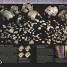 Evolution - thumbnail of spread image 4 Thumbnail image of Evolution - 4
