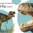 Touch and Feel: Dinosaur - thumbnail of spread image 2 Thumbnail image of Touch and Feel: Dinosaur - 2