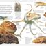 Ocean - thumbnail of spread image 2 Thumbnail image of Ocean - 2