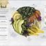 Eat Feel Fresh - thumbnail of spread image 6 Thumbnail image of Eat Feel Fresh - 6