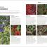 RHS How To Garden When You're New To Gardening - thumbnail of spread image 2 Thumbnail image of RHS How To Garden When You're New To Gardening - 2