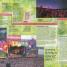 Grateful Dead - thumbnail of spread image 3 Thumbnail image of Grateful Dead - 3