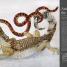 Journey - thumbnail of spread image 1 Thumbnail image of Journey - 1