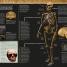 Evolution - thumbnail of spread image 3 Thumbnail image of Evolution - 3