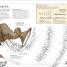 Mammoth Science - thumbnail of spread image 2 Thumbnail image of Mammoth Science - 2