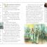 Thomas Edison - The Great Inventor - thumbnail of spread image 2 Thumbnail image of Thomas Edison - The Great Inventor - 2