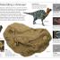 Dinosaur - thumbnail of spread image 3 Thumbnail image of Dinosaur - 3