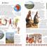 Children's Illustrated Encyclopedia - thumbnail of spread image 3 Thumbnail image of Children's Illustrated Encyclopedia - 3